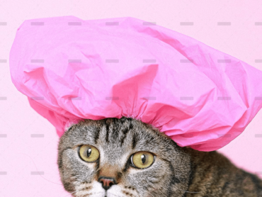 demo-attachment-769-pexels-anna-shvets-4587959