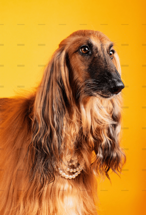 Blog 16 demo-attachment-2039-julio-bernal-pwRfs5IT6Go-unsplash