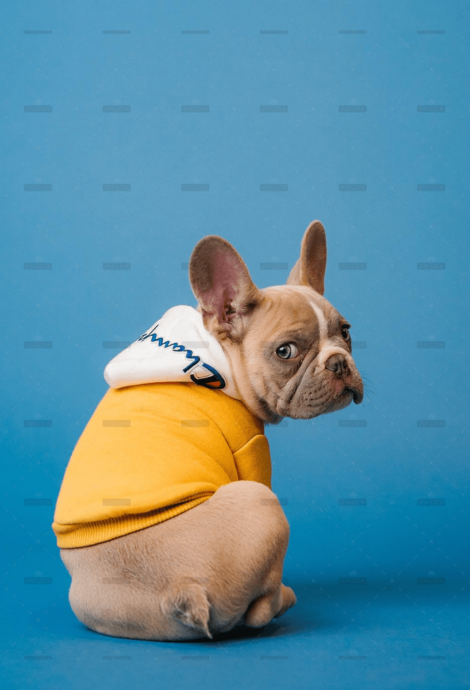 Blog 15 demo-attachment-2040-karsten-winegeart-oU6KZTXhuvk-unsplash