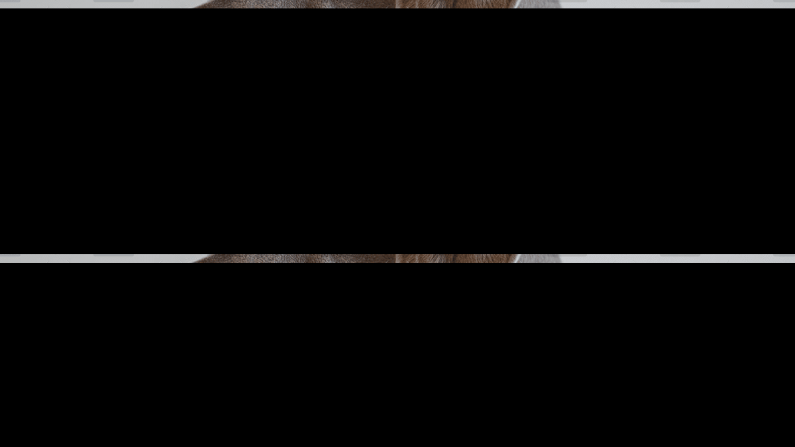 demo-attachment-4057-cristofer-jeschke-3HjLaBmY2a4-unsplash