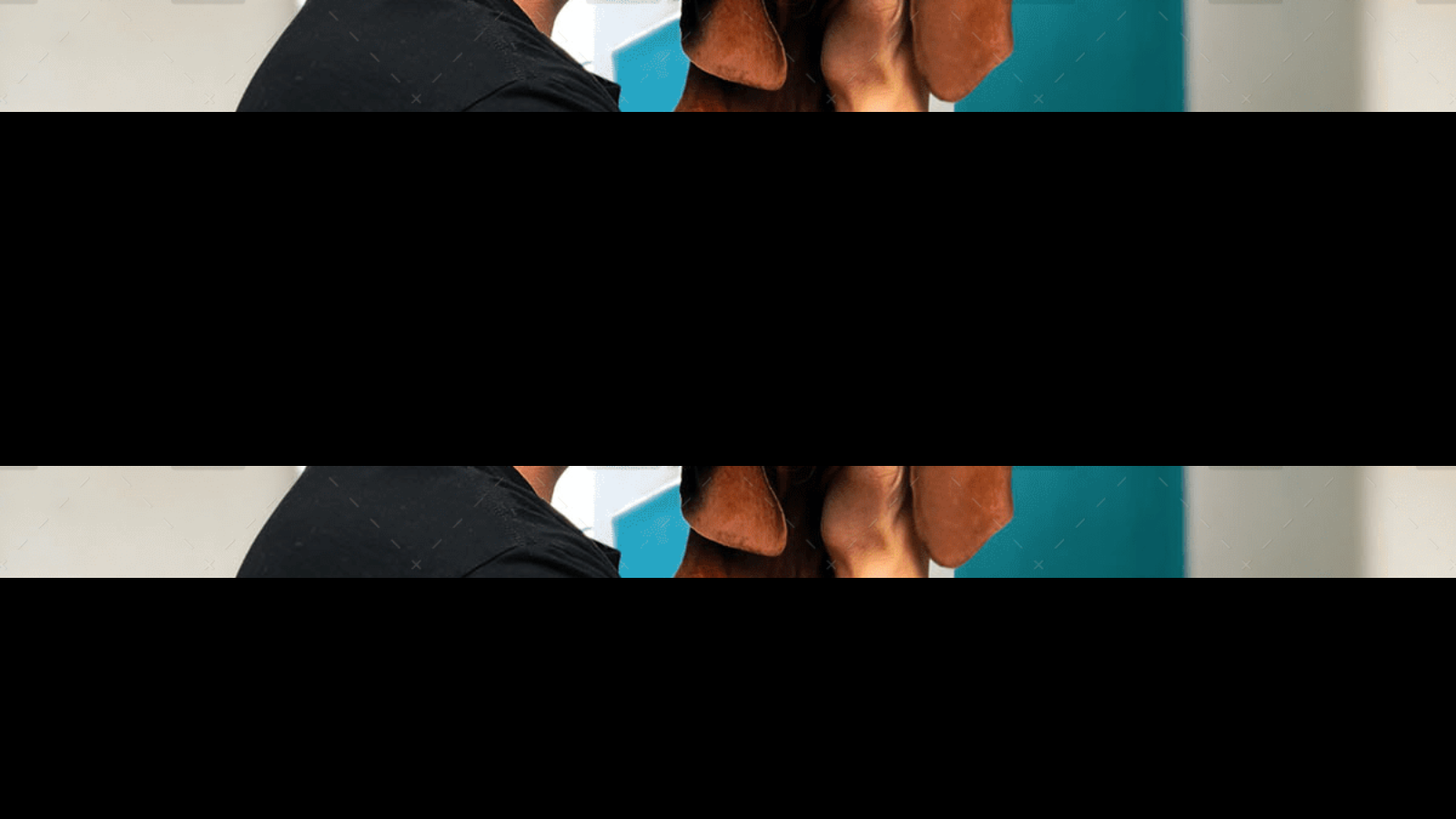 demo-attachment-4063-pexels-charles-roth-2745151