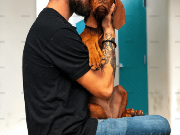 demo-attachment-4063-pexels-charles-roth-2745151